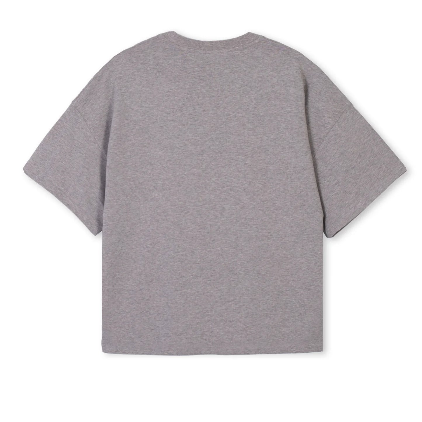 The Capsule T-Shirt (Grey)